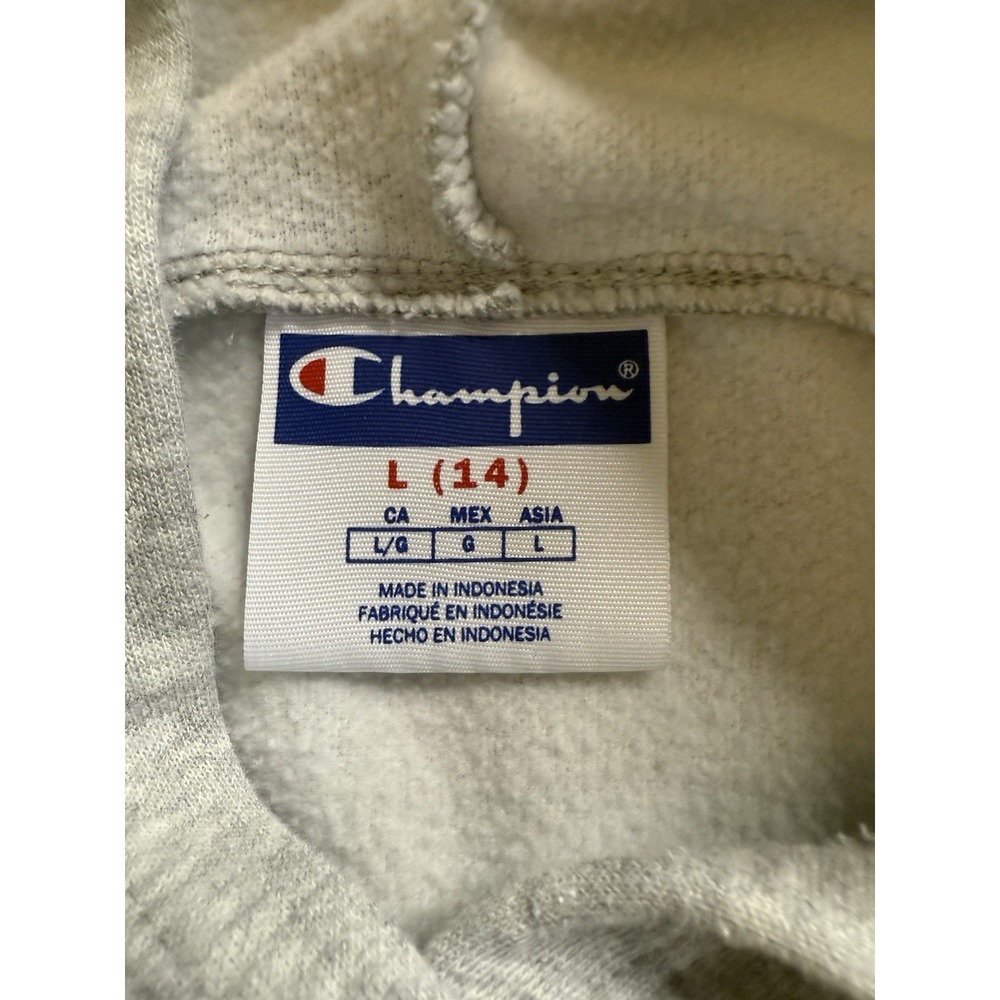 Champion Powerblend Heavyweight Fleece Pullover Hoodie youth Large gray - Picture 4 of 6